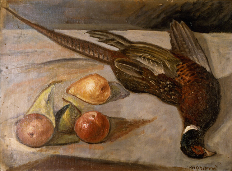 Opere 28 - Fagiano con frutta - Olio su tela - artista Giuseppe Moroni -  pittore